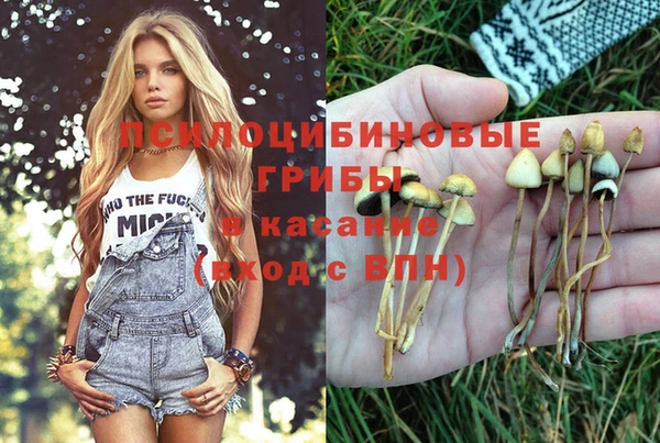 метадон Алзамай