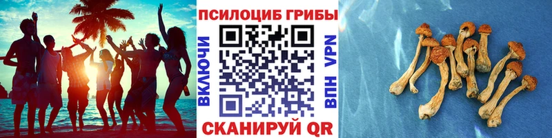 kraken Орлов Галлюциногенные грибы мухоморы