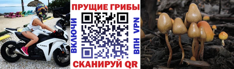 Галлюциногенные грибы прущие грибы Орлов