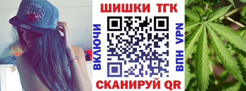 Канабис сатива  Орлов 